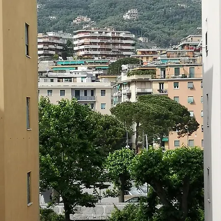 Viola Apartment *