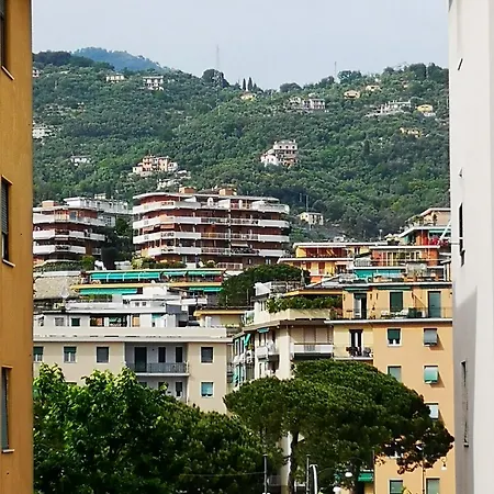 Viola Apartment *